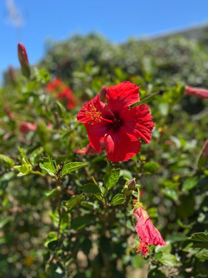 Banti Garden Hotel Tarifa Luaran gambar