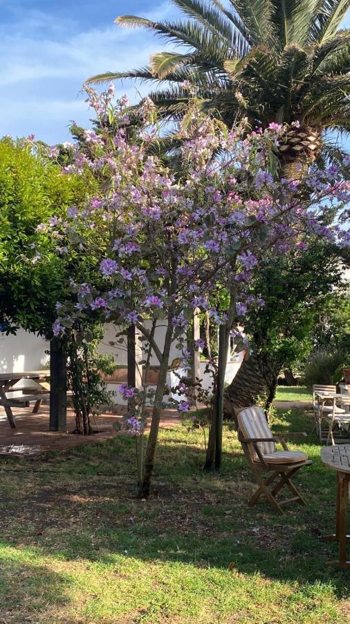 Banti Garden Hotel Tarifa Luaran gambar